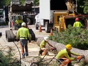Arbormax-tree-service-kansas-city-crew-tree-care