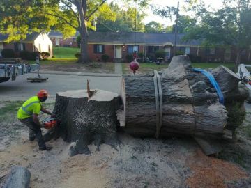 Arbormax-tree-service-kansas-city-tree-removal-professionals