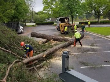 Kansas-city-tree-service-3