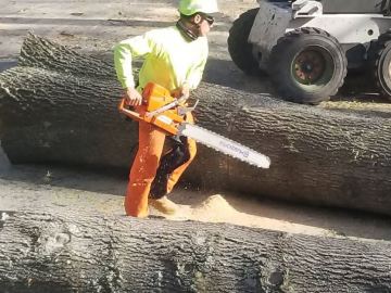 Kansas-city-tree-service-gallery