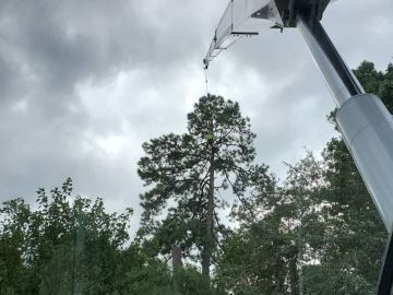 arbormax-tree-service-kansas-city-cutting-trees-with-crane