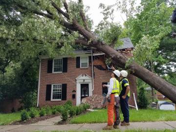 fallen-tree-Arbormax-tree-service-KANSAS-CITY