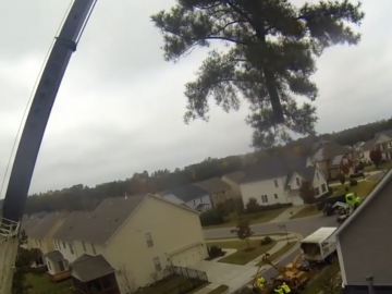 kansas-city-tree-service-gallery-crane-tree-removal