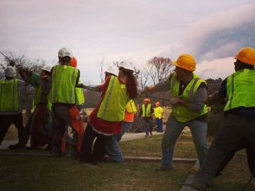 kansas-city-tree-service-gallery-cutting-tree