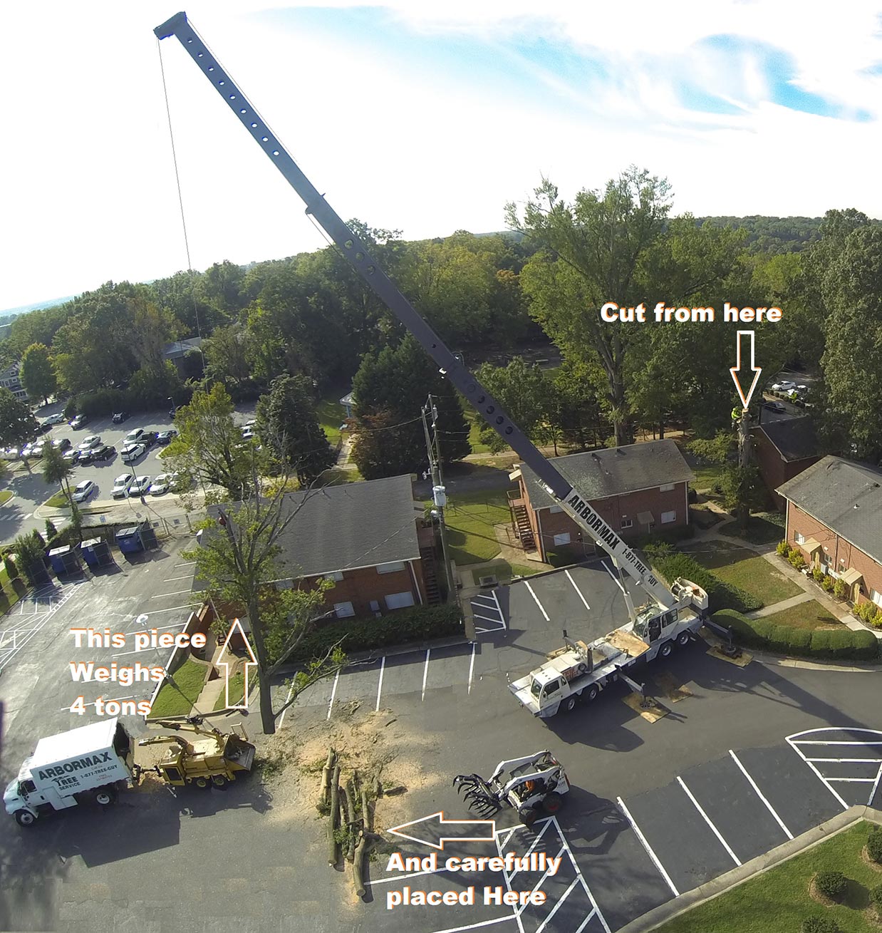 crane-assisted-tree-removal-raleigh
