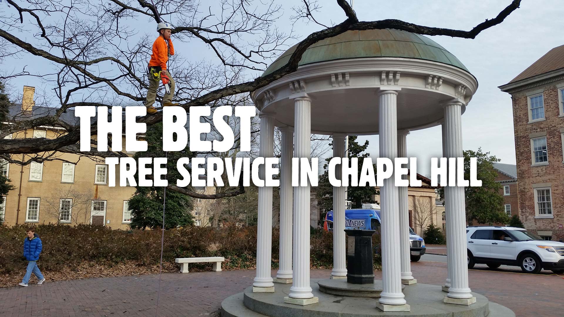 Chapel Hill Tree Service
